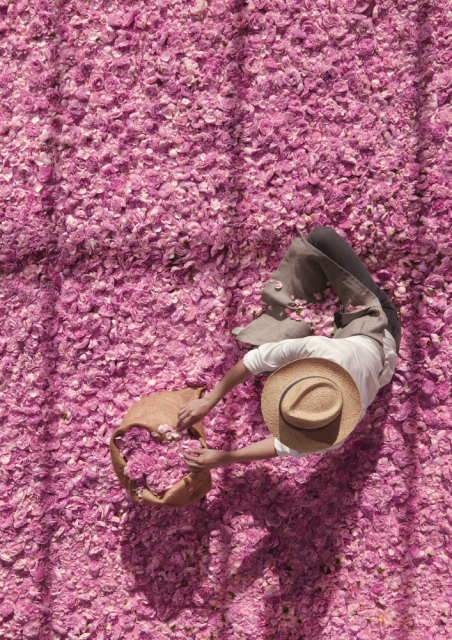 The rose of May, star of the Miss Dior Rose Essence fragrance